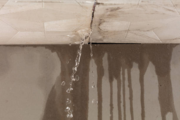 Professional Water Damage Repair technician working in Paradise, TX